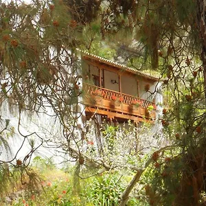 https://finca-casa-de-la-virgen.in-canary-islands.com